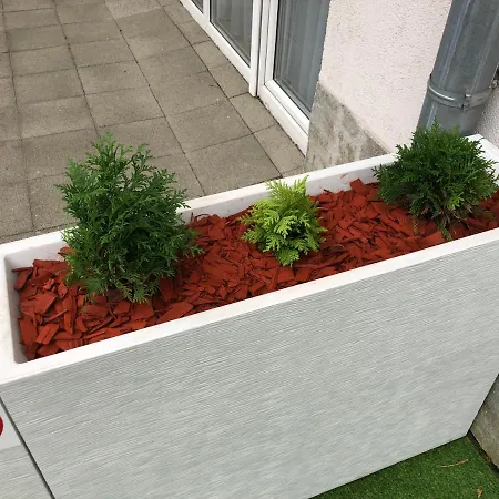 Czarna Gora Ii 아파트 시에나