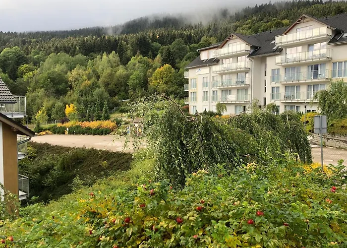 Czarna Gora Ii 시에나