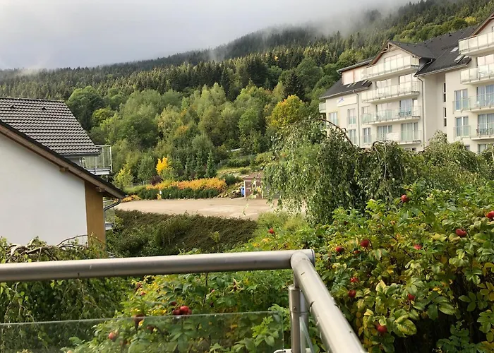 Czarna Gora Ii * 시에나