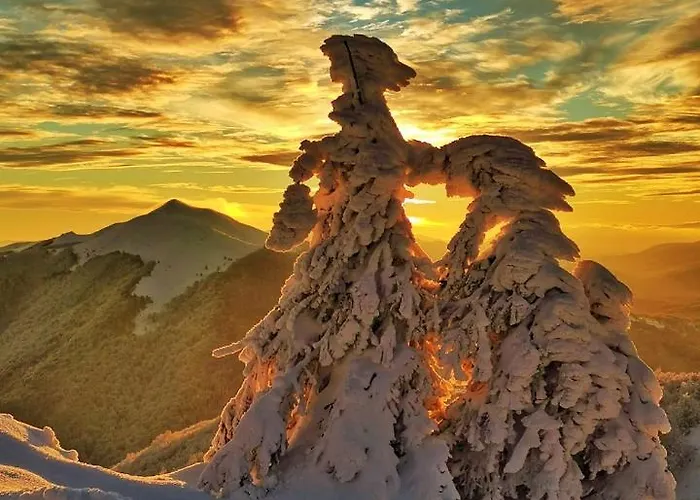 Czarna Gora Ii * 시에나