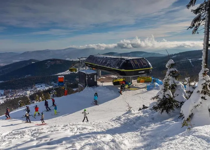 Czarna Gora Ii * 시에나